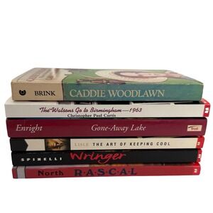✨Newbery Medal Honor Chapter Books Lot of 6 Childrens Literature Caddie Woodlawn